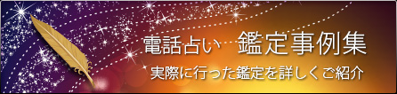 電話占い「鑑定事例集」実際に行った鑑定を詳しく紹介。